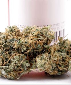 Buy cannatonic marijuana | buying kush | buy kush uk