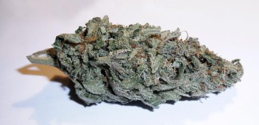 crypt marijuana strains | hybrid marijuana plant | buy online marijuana