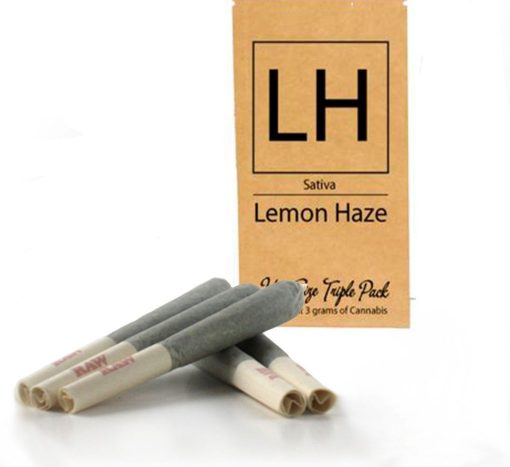 Buy Lemon Haze joints | Lemon haze pre-rolled | pre rolled joints
